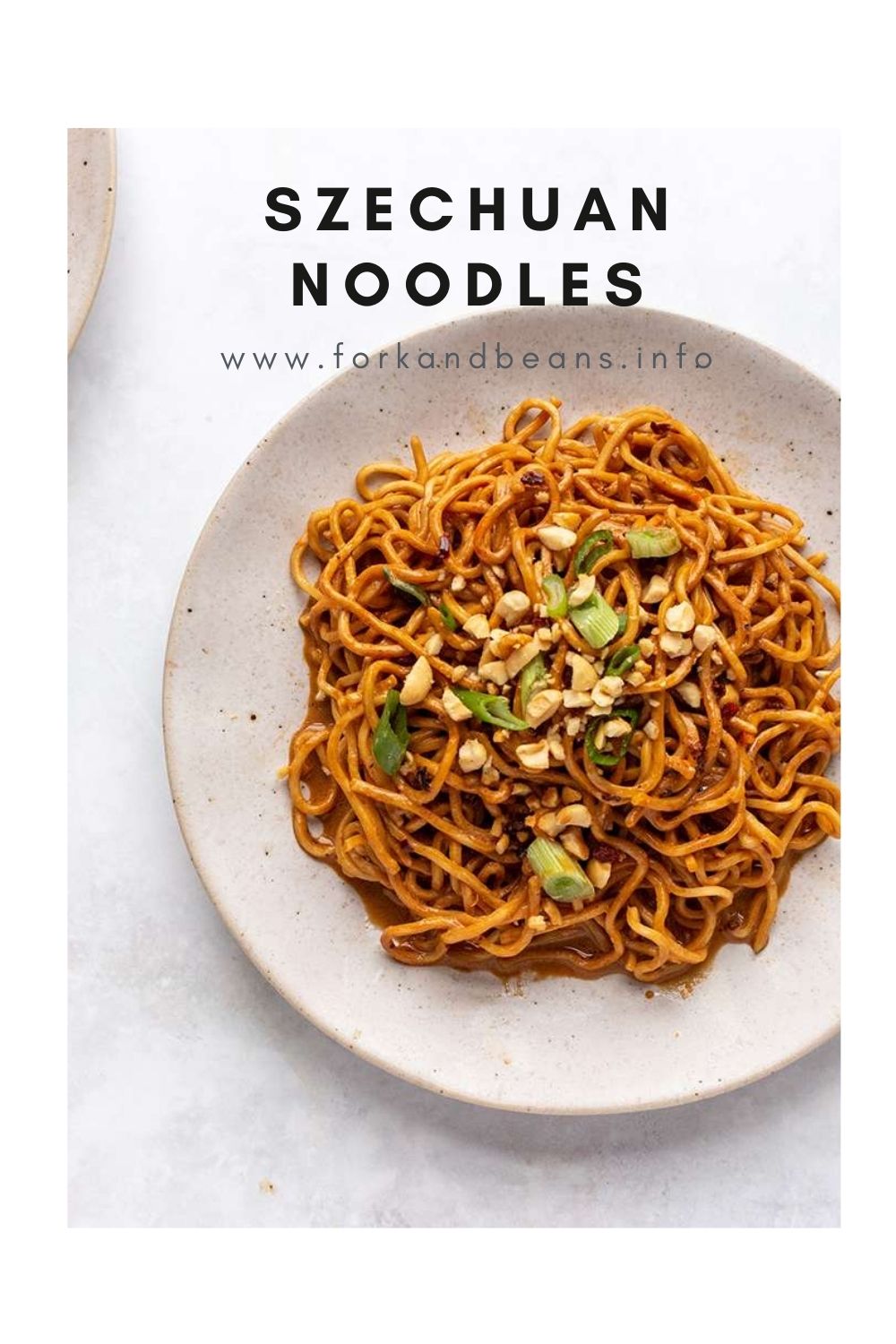 Easy Szechuan Dan Dan Noodles