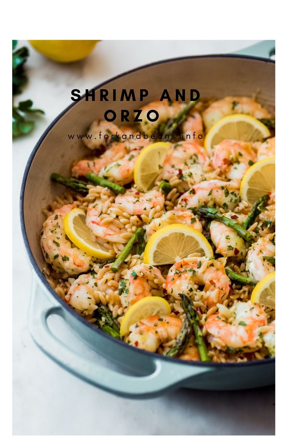 Shrimp Orzo with Lemon and Asparagus