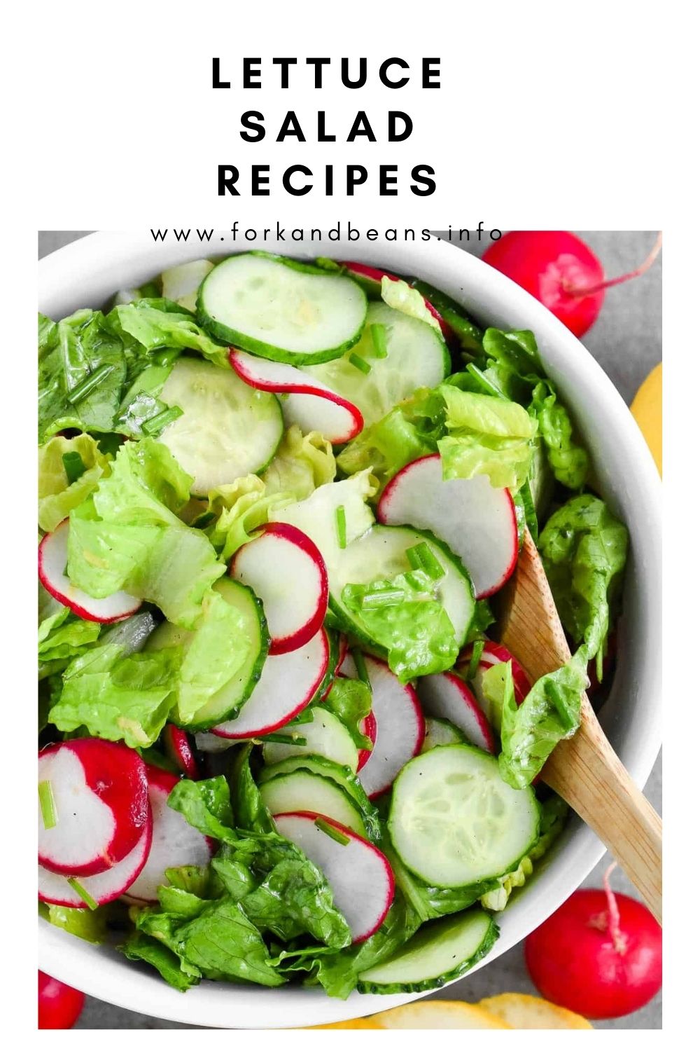 Lettuce Radish Salad with Lemon Vinaigrette