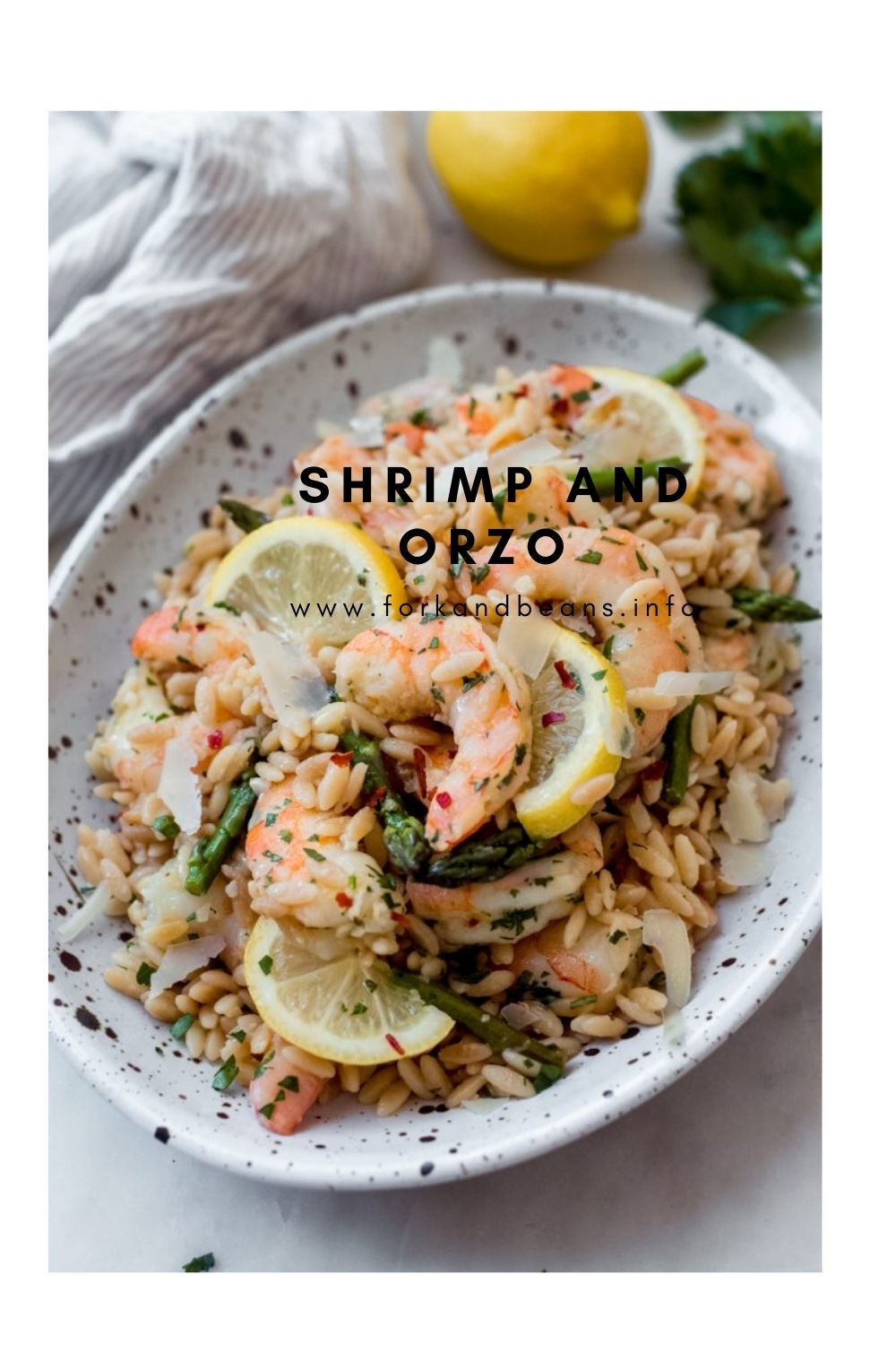 Garlicky Orzo Shrimp Scampi with Asparagus