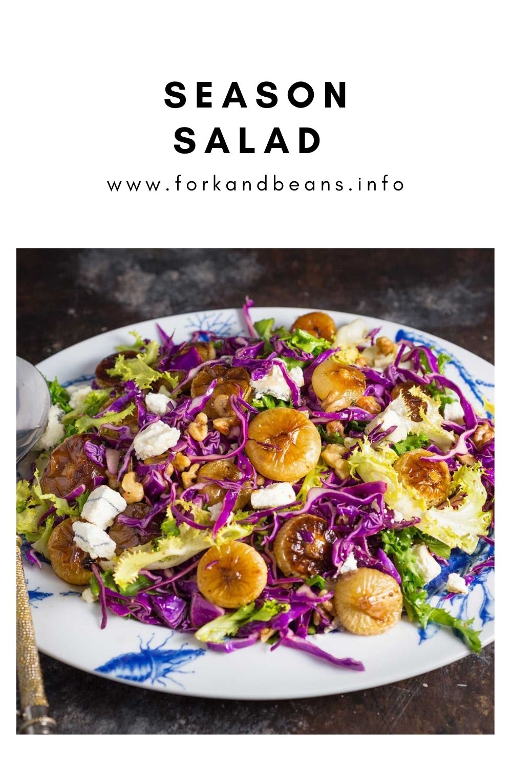 Red Cabbage Salad With Roasted Cipollini Onions Recipe