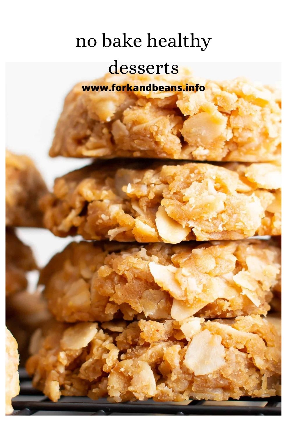 3 Ingredient No Bake Cookies (Vegan) – Peanut Butter Oatmeal Cookies!